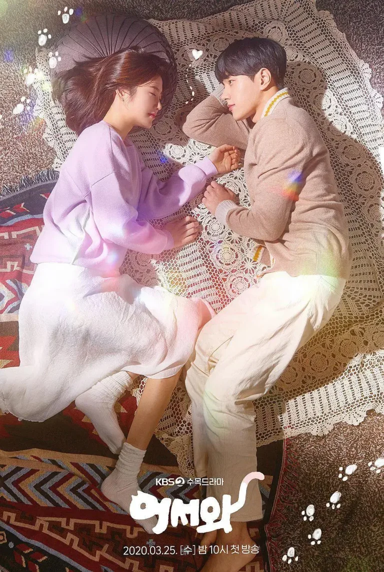 《你回来了》全集高清完整版在线观看与剧情解析