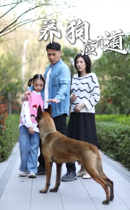 《养狗应有道》全集高清完整版在线观看与剧情解析