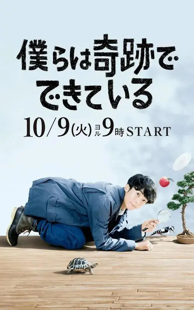 《我们由奇迹构成》全集高清完整版在线观看与剧情解析