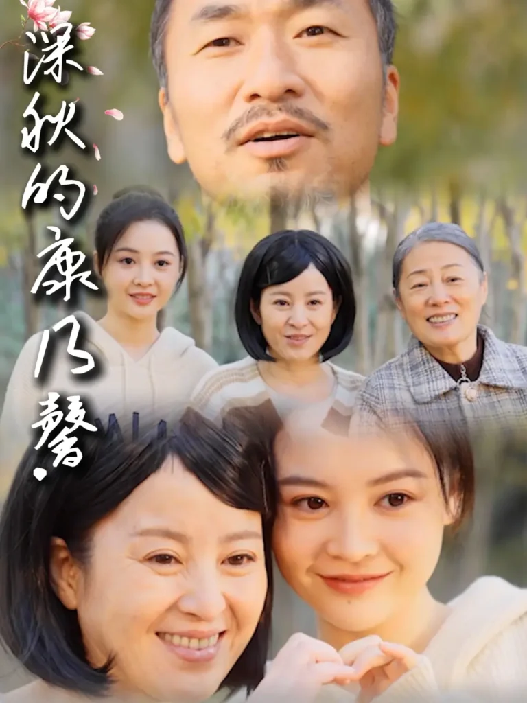 《深秋的康乃馨》全集高清完整版在线观看与剧情解析