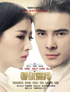 《等你爱我》全集高清完整版在线观看与剧情解析