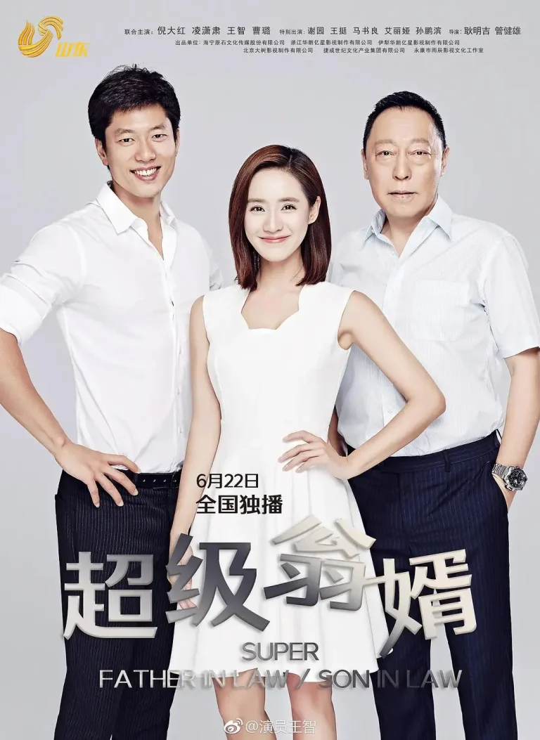 《超级翁婿》全集高清完整版在线观看与剧情解析