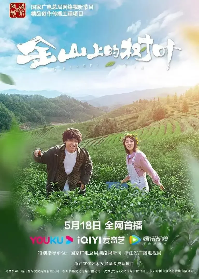 《金山上的树叶》全集高清完整版在线观看与剧情解析